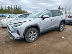 2T3RWRFV4RW242683 2024 TOYOTA RAV 4