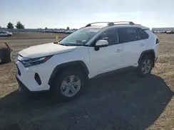 2T3RWRFV4RW246023 2024 TOYOTA RAV 4