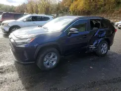 2T3RWRFV4RW246796 2024 TOYOTA RAV 4