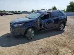 2T3RWRFV4SW255150 2025 TOYOTA RAV 4