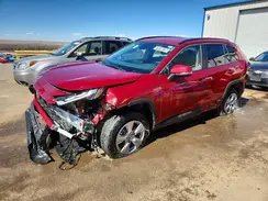 2T3RWRFV4SW264849 2025 TOYOTA RAV 4