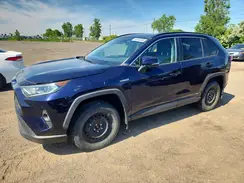 2T3RWRFV5KW002841 2019 TOYOTA RAV 4