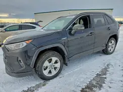 2T3RWRFV5KW019185 2019 TOYOTA RAV 4