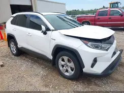 2T3RWRFV5LW094731 2020 TOYOTA RAV 4