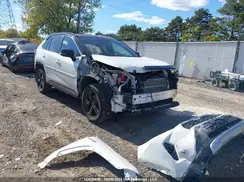 2T3RWRFV5MW116406 2021 TOYOTA RAV 4