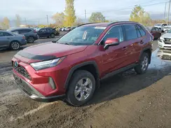 2T3RWRFV5NW133658 2022 TOYOTA RAV 4