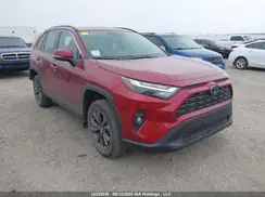 2T3RWRFV5PW163696 2023 TOYOTA RAV 4
