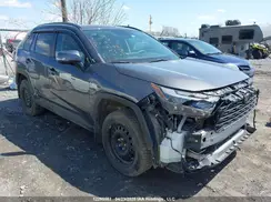 2T3RWRFV5PW168249 2023 TOYOTA RAV 4