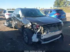 2T3RWRFV5PW169109 2023 TOYOTA RAV 4