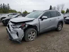 2T3RWRFV5PW169692 2023 TOYOTA RAV 4