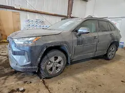 2T3RWRFV5PW169899 2023 TOYOTA RAV 4