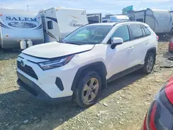 2T3RWRFV5PW181728 2023 TOYOTA RAV 4