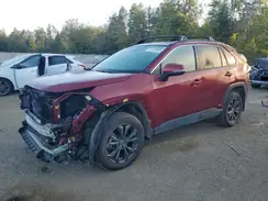 2T3RWRFV5PW182488 2023 TOYOTA RAV 4