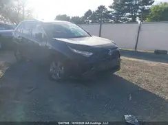 2T3RWRFV5RW187404 2024 TOYOTA RAV 4