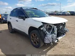 2T3RWRFV5RW196510 2024 TOYOTA RAV 4