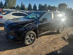 2T3RWRFV5RW200894 2024 TOYOTA RAV 4