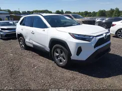 2T3RWRFV5RW203102 2024 TOYOTA RAV 4