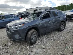 2T3RWRFV5RW203259 2024 TOYOTA RAV 4