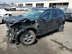 2T3RWRFV5RW210423 2024 TOYOTA RAV 4