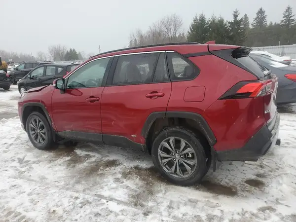 2T3RWRFV5RW210714 2024 TOYOTA RAV 4 - Image 2