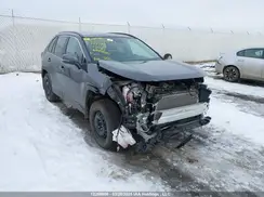 2T3RWRFV5RW221521 2024 TOYOTA RAV 4