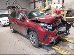 2T3RWRFV5RW224094 2024 TOYOTA RAV 4
