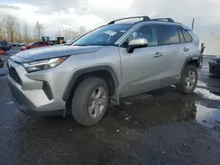 2T3RWRFV5RW233152 2024 TOYOTA RAV 4