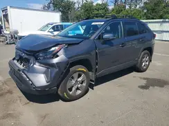 2T3RWRFV5RW234043 2024 TOYOTA RAV 4