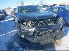 2T3RWRFV5RW243860 2024 TOYOTA RAV 4