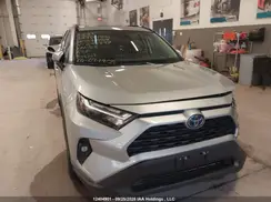 2T3RWRFV5RW245897 2024 TOYOTA RAV 4
