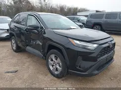 2T3RWRFV5SW255531 2025 TOYOTA RAV 4