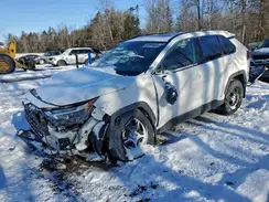 2T3RWRFV5SW261278 2025 TOYOTA RAV 4