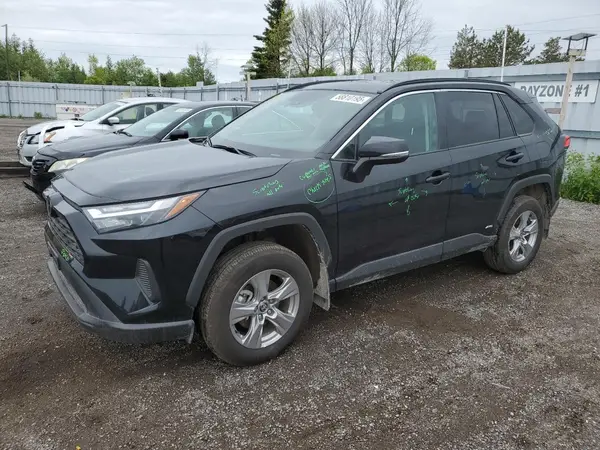 2T3RWRFV5SW261569 2025 TOYOTA RAV 4 - Image 1