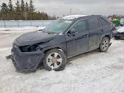 2T3RWRFV5SW285418 2025 TOYOTA RAV 4