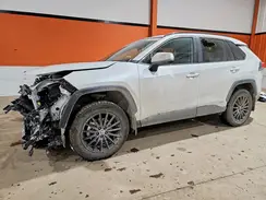 2T3RWRFV5SW286228 2025 TOYOTA RAV 4