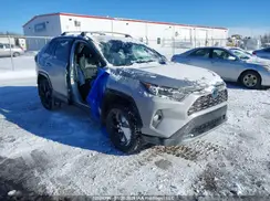 2T3RWRFV6KW001939 2019 TOYOTA RAV 4