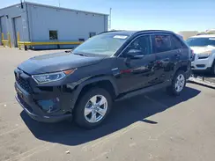 2T3RWRFV6KW016943 2019 TOYOTA RAV 4