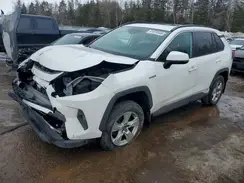 2T3RWRFV6KW033452 2019 TOYOTA RAV 4
