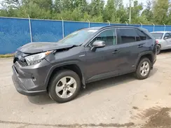 2T3RWRFV6KW045018 2019 TOYOTA RAV 4