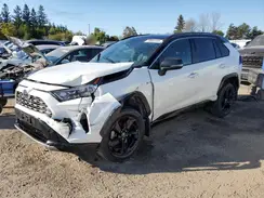 2T3RWRFV6KW045133 2019 TOYOTA RAV 4