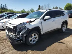 2T3RWRFV6LW078974 2020 TOYOTA RAV 4