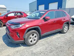 2T3RWRFV6MW103454 2021 TOYOTA RAV 4