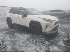 2T3RWRFV6MW107813 2021 TOYOTA RAV 4