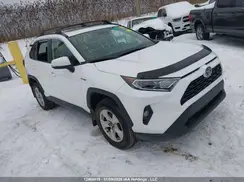 2T3RWRFV6MW124465 2021 TOYOTA RAV 4