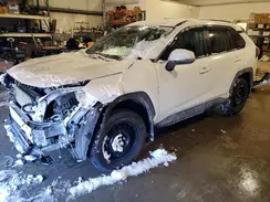 2T3RWRFV6PW165165 2023 TOYOTA RAV 4