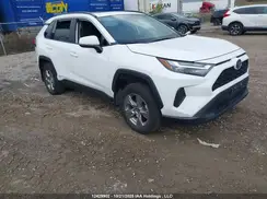 2T3RWRFV6PW177235 2023 TOYOTA RAV 4