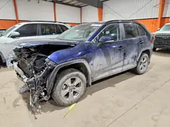 2T3RWRFV6PW179616 2023 TOYOTA RAV 4