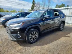 2T3RWRFV6PW179700 2023 TOYOTA RAV 4