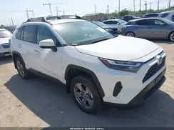 2T3RWRFV6PW182984 2023 TOYOTA RAV 4