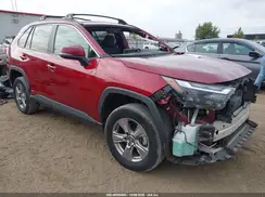 2T3RWRFV6RW186553 2024 TOYOTA RAV 4